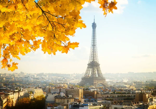 Paris Private Tours | Paris Day Trips - Licensed Guides - Paris Day Trip